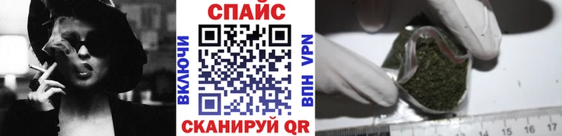 где продают наркотики  hydra ссылка  БУТИРАТ BDO 33%  мориарти клад  Котельнич 