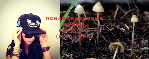 МДПВ Абаза