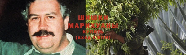 шишки Абинск