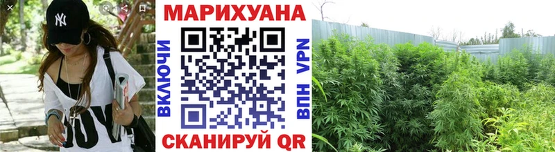 Канабис AK-47 наркотики Котельнич